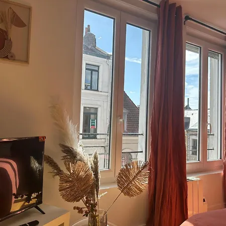 Lerelaisdodile - Appart Cosy Au Vieux-Lille Exterior foto