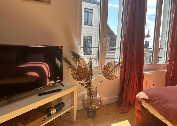 Lerelaisdodile - Appart Cosy Au Vieux-Lille